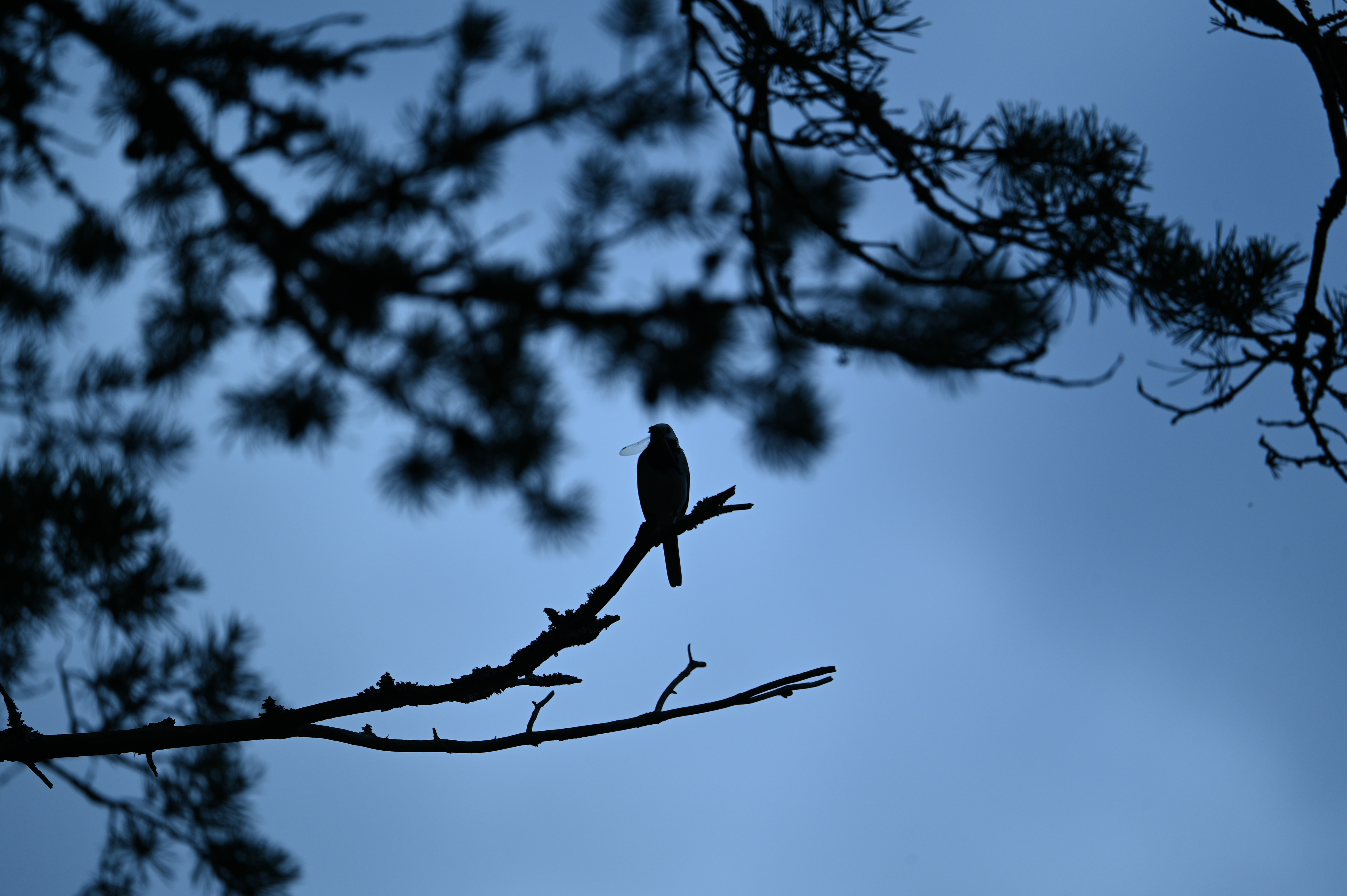 2025/07/09-14 - trip/DSC_0405.JPG